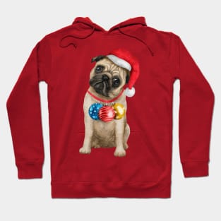 Doggy Christmas Hoodie